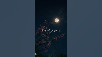 سورة يوسف _ عبد الباسط عبد الصمد