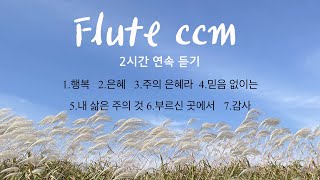 은혜로운 찬양 플룻 연주곡 연속듣기_Hymns on flute_ccm(중간광고 없음)