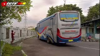 story wa bus full miring di tikungan , pesona bis Jatim 🤙