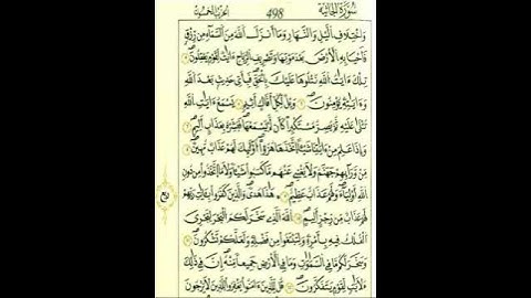 الآيتين 10_11من سورة الجاثية