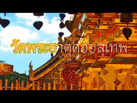 วัดพระธาตุดอยสุเทพราชวรวิหาร : พระธาตุประจำปีมะแม