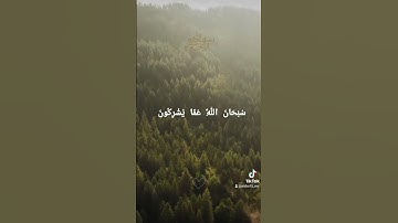 الْمَلِكُ الْقُدُّوسُ السَّلَامُ الْمُؤْمِنُ الْمُهَيْمِنُ الْعَزِيزُ الْجَبَّارُ {سورة الحشر}