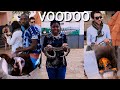 Temple of Pythons, Ouidah | Where to visit in Benin Republic | Voodoo practice