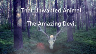 That Unwanted Animal - The Amazing Devil - Lyrics