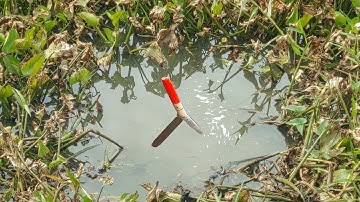 Câu Cá Ổ , Phút 90 Bất Ngờ Con Cá Trê Vàng Khè Vào Xì Tim Lôi Chìm Lút Phao