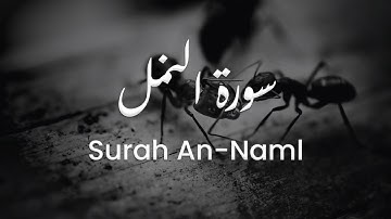 سورة النمل للشيخ علي البراق | المصحف المرتل