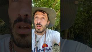 Ruta Senda Fluvial del Nansa 🖤 #senderismo #cantabria #shorts