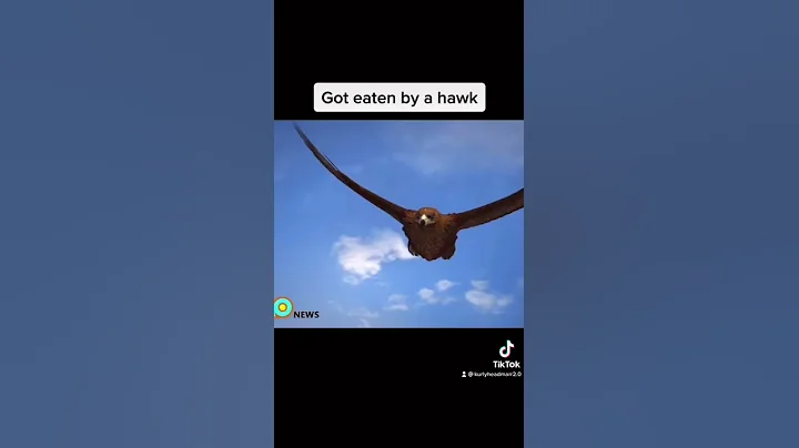 Worst ways animals have died😰 #shorts