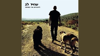 Video thumbnail of "Amir Lev - אוקטובר"