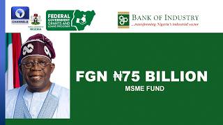Beneficiaries Share Imapct Of FG's MSME Funding As BOI Adds Another Feather  More | BOI Weekly
