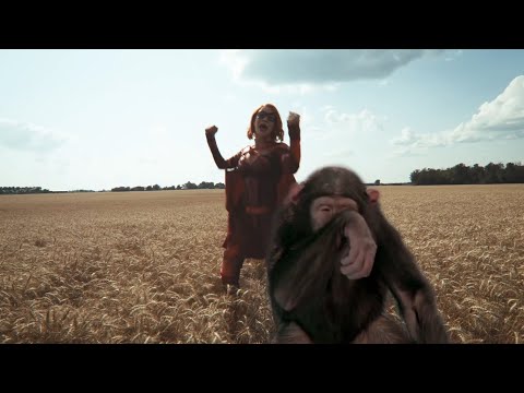 Crimson Countess | Chimps Don't Cry | Official Music Video