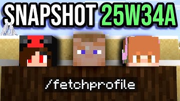 New Player Head Command! - /fetchprofile, New Panorama, End Flare Sounds - Minecraft Snapshot 25w33a