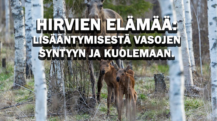HIRVEN ELÄMÄÄ: lisääntymisestä kuolemaan.