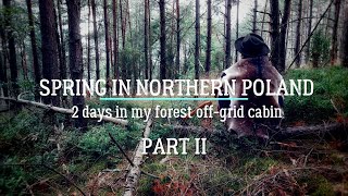 PART II - 2 Days In MY Forest Cabin by Johnny in the bush  191 views 1 year ago 15 minutes