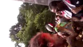 Baltimore Carnival 2013 pt1