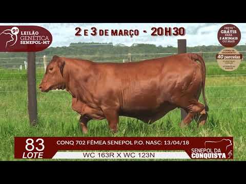 LOTE 83 CONQ 702