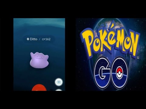 HOW TO FIND DITTO IN POKEMON GO!?!?! - YouTube