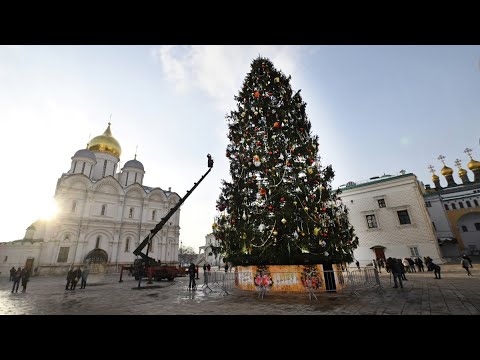 Главную новогоднюю елку России установили на Соборной площади Кремля