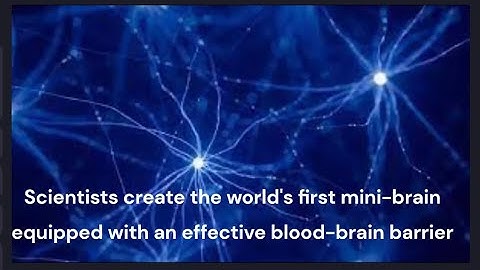 Scientists create the world