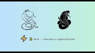 Змея — описание и характеристика 🐍 ⚡ | Китайский гороскоп