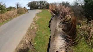 My first GoPro filmed video!! Bucking? Spooking? Do I fall off? Come and ride with me and Solo!