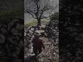 3 Loot Boxes Locations in Red Dead Redemption 2