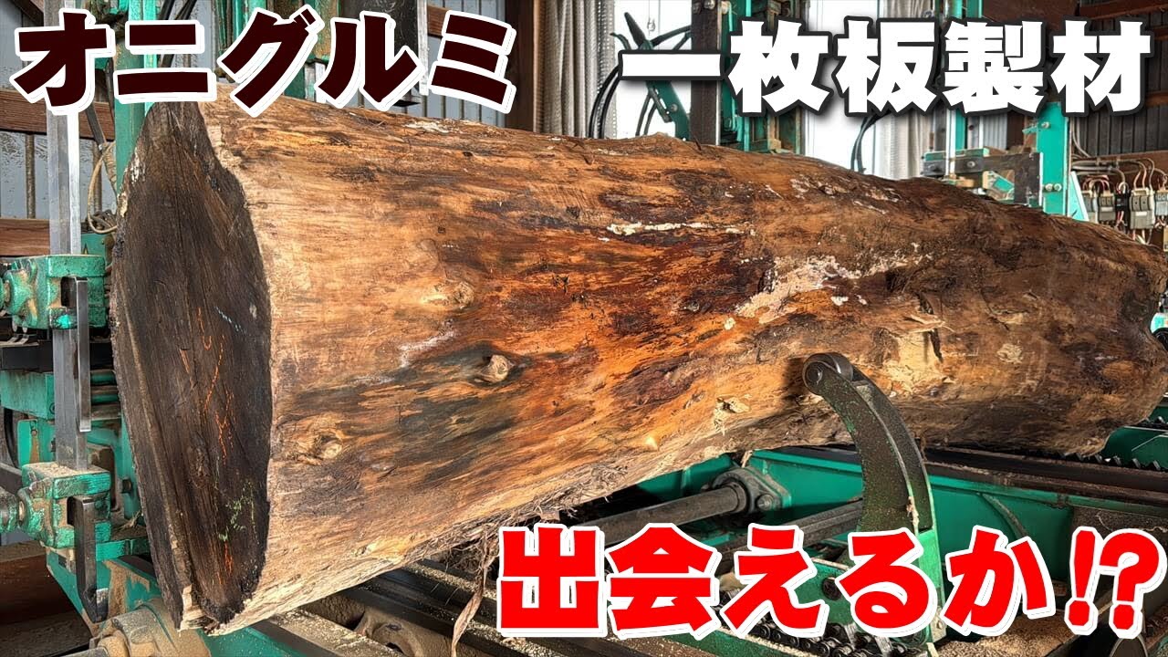 新木からの樹づくり Making a plank from a log] What comes out? The natural art