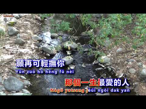 蔣雪兒 - 一生等你 - Singalong music video