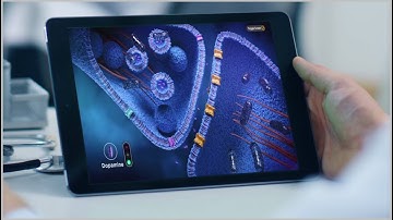 Understanding How Dopamine Affects Movement – and How It’s Treated