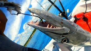 Pesca y cocina en México, saliendo del Hotel Iberostar tucán Playa del Carmen, PESCA URBANA