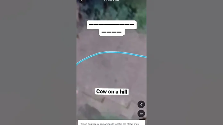 Sus cow #viral #viralvideo #meme #sus #hill #cow #farmanimals #funny #funnyvideo #googlemaps #shorts