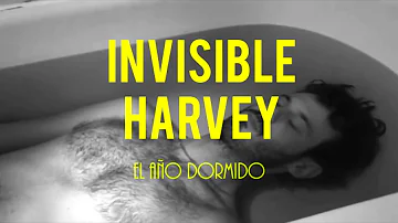 Invisible Harvey - El año dormido