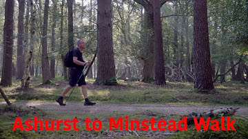 Ashurst to Minstead Walk
