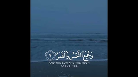 قرآن كريم بصوت الطفل " محمد الجنيد " أرح سمعك 💙🎧 #quran