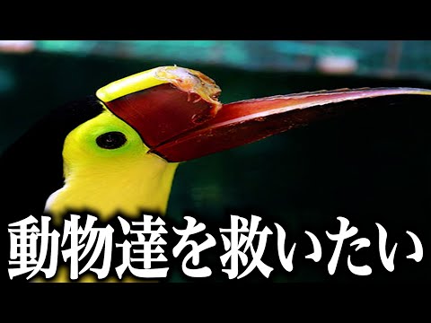 【衝撃】人間に助けを求めた動物ランキングがツッコミどころ満載だったwwwwww#57【なろ屋】【ツッコミ】【都市伝説】