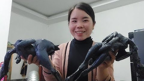 hau qaib xiav nqaij xyaw ntsuag xyoob qeeg noj hmo qab kawg li 17/04/2022