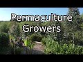 Introducing freedom forest life growing using permaculture back to eden and no dig