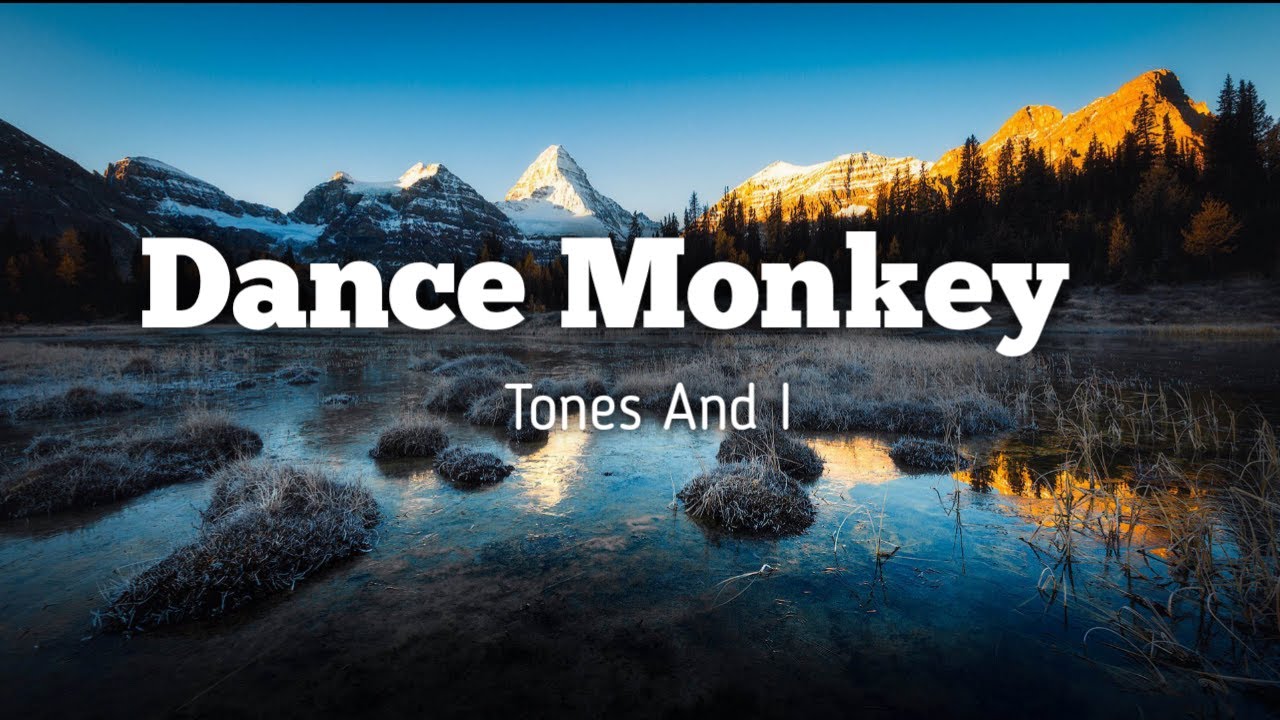 Dance Monkey Tones And I Lyrics Video - YouTube
