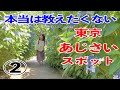 東京の紫陽花スポット<養源寺>♪アラフィフ独女の一人旅