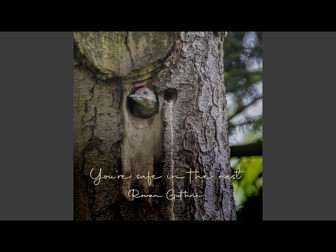 Ver You're safe in the nest no YouTube