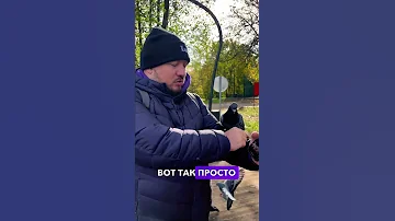 Птицы чувствуют вашу вибрацию