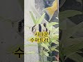 사나운 수마트라