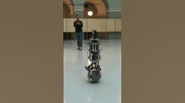 De futuristische ballenrobot die beweegt als een levend wezen