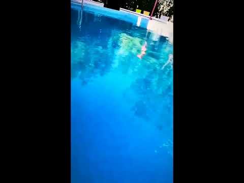 HAVUZ LÜKS VİLLA İNSTAGRAM STORY TATİL YAZLIK SNAPLER
