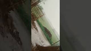 rain #fun #love