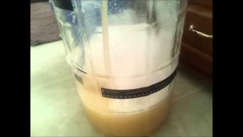 Making Wine from a Kit Part 2