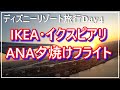 【大人ディズニー旅行】IEKA、イクスピアリ、羽田イノベーションシティ、羽田空港、ANAで夕焼けフライト【Vlog】４日最終日ANAで北海道に戻ります