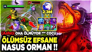 Karşima 2.300.000M Ashe Geldi̇ Ölümsüz Bui̇ldi̇mle Taniştirdim Nasus Orman