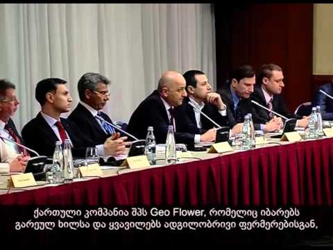 შეხვედრა ევროკავშირ-საქართველოს ბიზნესსაბჭოს წევრებთან