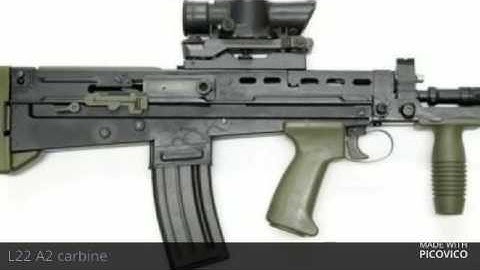 Sa80 family and there uses